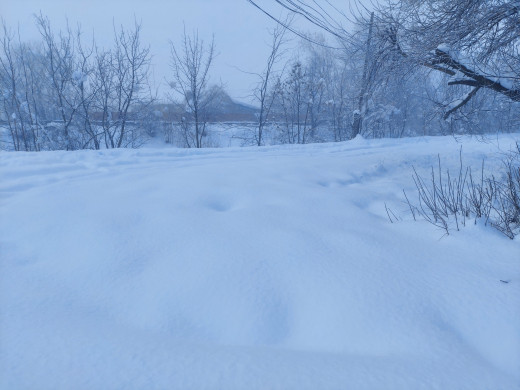 1673445 (a): :1920x1440